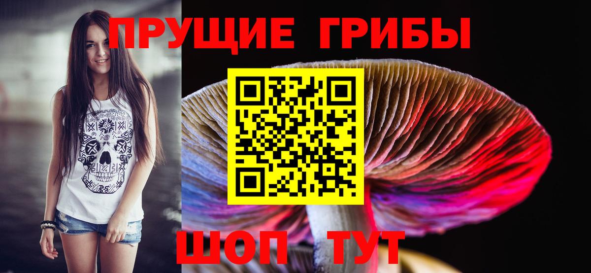 Псилоцибиновые грибы Psilocybe Магнитогорск